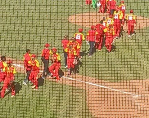 Los Cocodrilos de Matanzas