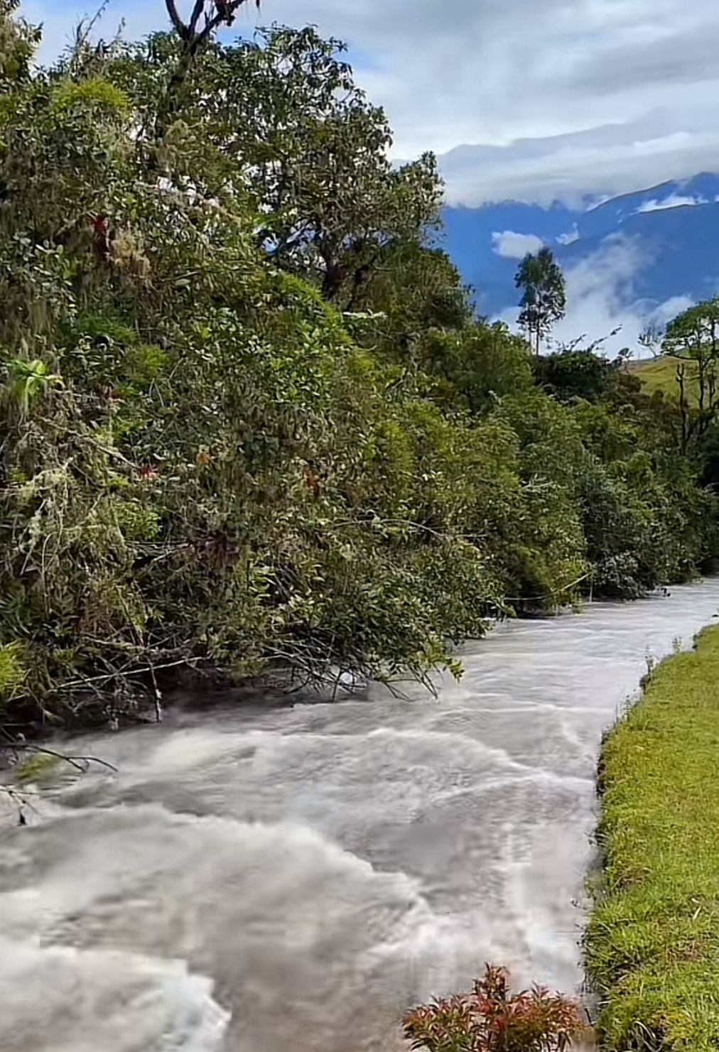 9f9f15a0-2e2e-4a3f-9859-85228eede379