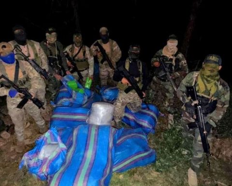 Armed Forces and PNP seize more than 200 kilos of drugs in Vraem