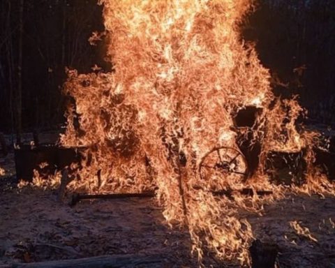 Armed Forces destroy illegal mining camp in Amazonas