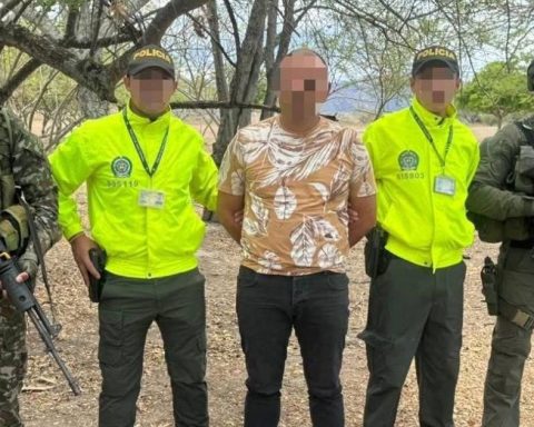 Blow to drug trafficking: Authorities dismantle international network in Cauca