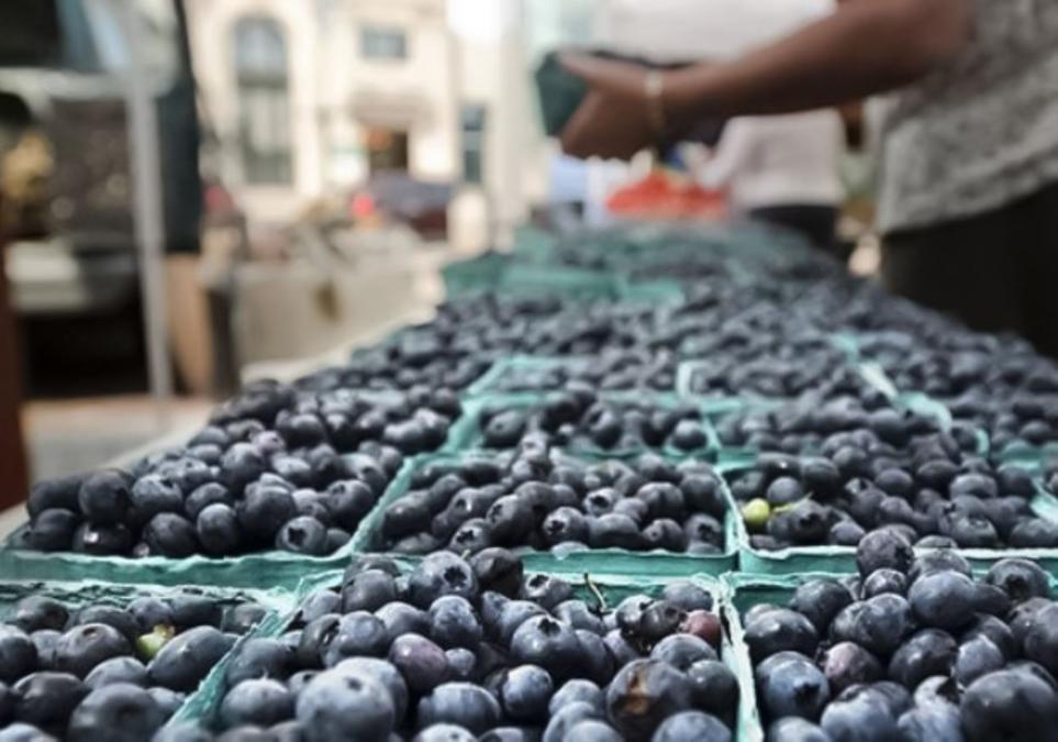 Blueberry exports grew 25.5% between January and September