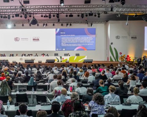 COP30 final documents make unprecedented mention of Afro-descendants
