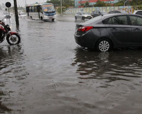 Cold front knocks down trees and causes flooding in Rio de Janeiro
