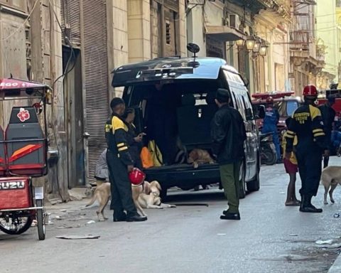 Rescatistas en la calle del derrumbe