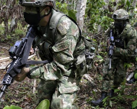 Colombia breaks record with 835 tons of drugs seized and seeks to exceed 900