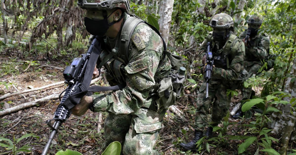 Colombia breaks record with 835 tons of drugs seized and seeks to exceed 900