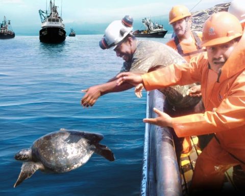 Compatible industrial fishing in protected natural areas