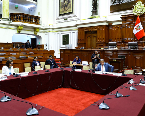 Congress Approves Opinion for an “Objective, Technical and Transparent” Selection of Representatives before International Organizations