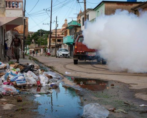 Cuba faces chikungunya outbreak with more than 20 thousand cases while strengthening epidemiological surveillance