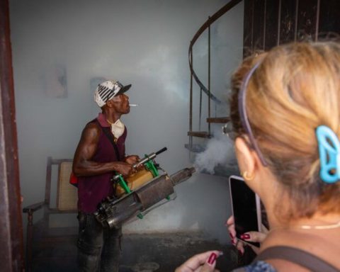 Cuba: health authorities recognize that they still do not have the chikungunya and dengue epidemic under control