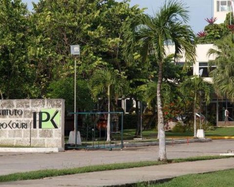 Cuban authorities decide to act against chikungunya, after months of ignoring the epidemic