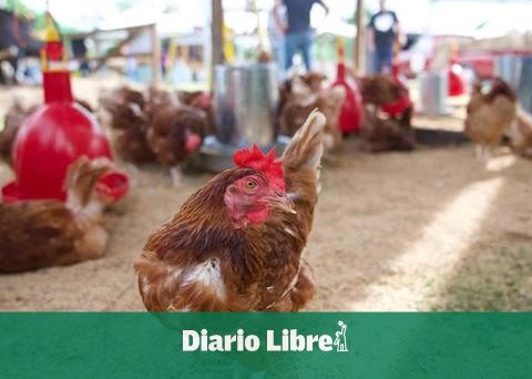 DR maintains preventive health plan against avian influenza