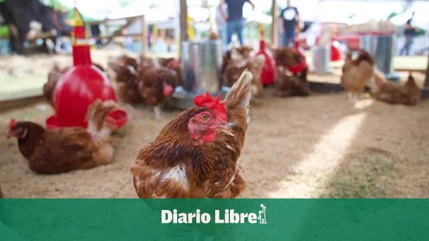 DR maintains preventive health plan against avian influenza