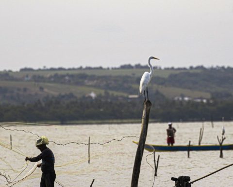 Defense insurance management officially passes to the Ministry of Labor