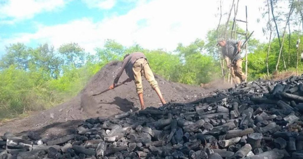 Due to lack of fuel, tons of charcoal for export are stuck in Maisí