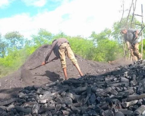 Due to lack of fuel, tons of charcoal for export are stuck in Maisí