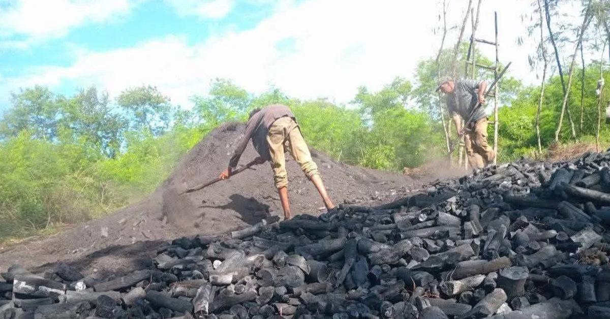 Due to lack of fuel, tons of charcoal for export are stuck in Maisí