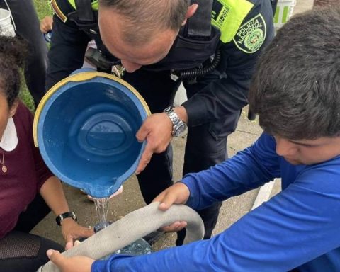 Emergency in Pitalito: ACPM spill forces water to be supplied with tank trucks