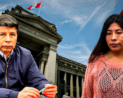 End of the oral trial: Pedro Castillo's sentence would be known in December