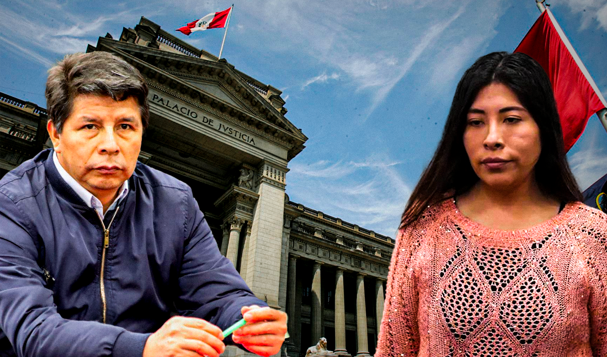 End of the oral trial: Pedro Castillo's sentence would be known in December