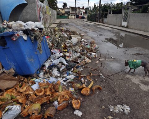 Epidemic in Cuba: about 700 daily cases of chikungunya and the highest incidence in the Americas, according to PAHO