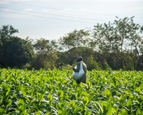 European Union launches new call to finance agri-food initiatives in Cuba with up to 40 thousand dollars