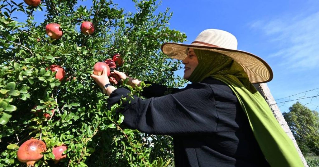 Everyone over there! This Sunday there will be a peasant market in Bocagrande from 8 in the morning