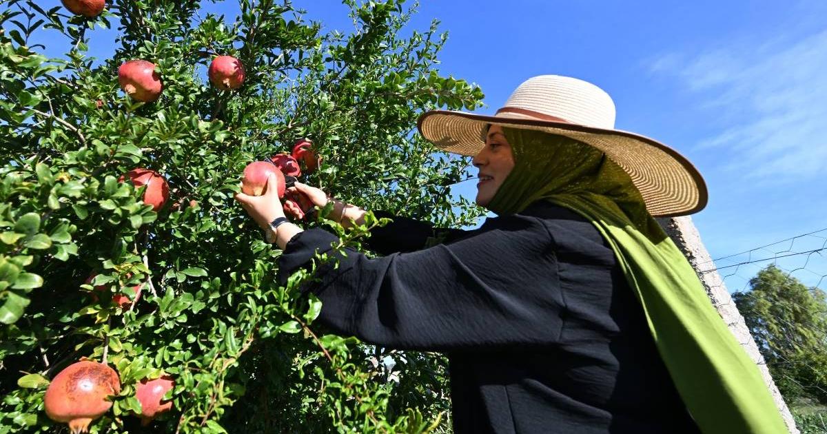 Everyone over there! This Sunday there will be a peasant market in Bocagrande from 8 in the morning
