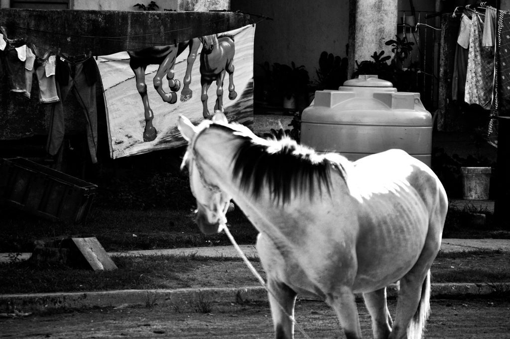 Eye on the viewer: Andrés Castellanos