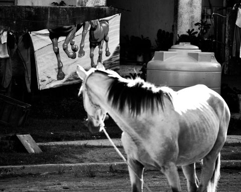 Eye on the viewer: Andrés Castellanos