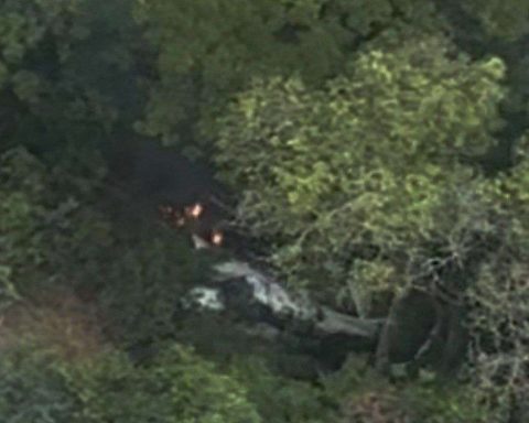 Fanb disables new hostile aircraft in Apure