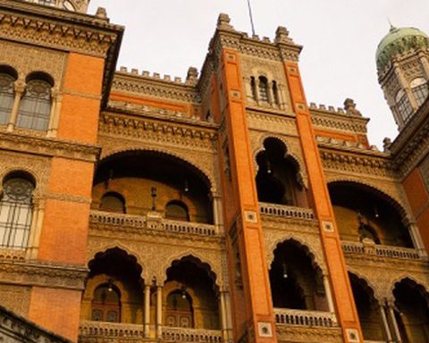 Fiocruz starts tests for the treatment of Spinal Muscular Atrophy