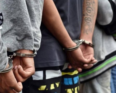 Flagrancy Unit receives up to 25 cases per day in Cusco