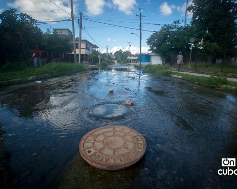 Flashlight: the “floods” of the Sports Casino in times of chikungunya
