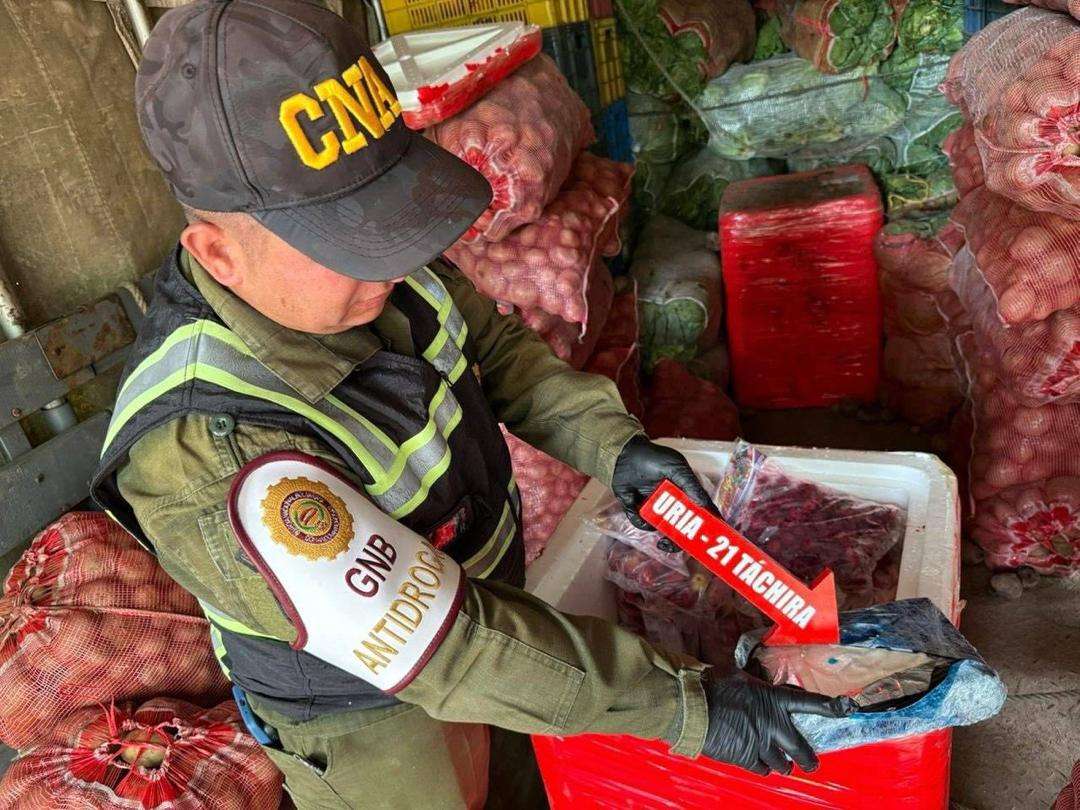 GNB seized 33 kilos of alleged cocaine in Táchira