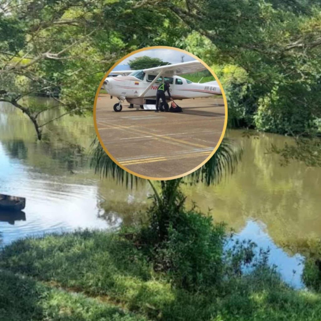 WhatsApp Image 2025-11-11 at 7.40