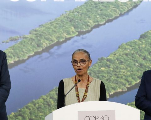 Germany will give 1 billion euros to tropical forests, says Marina