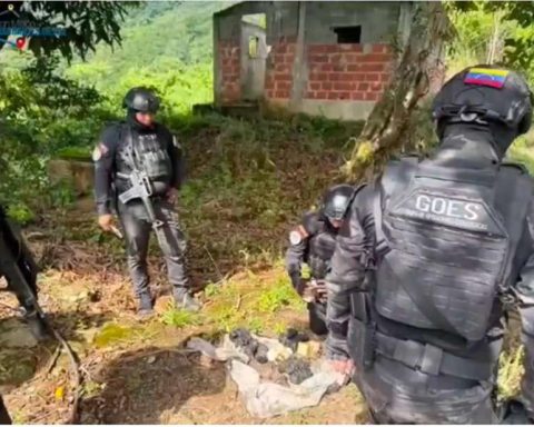 Goes located 14 explosive devices in Táchira