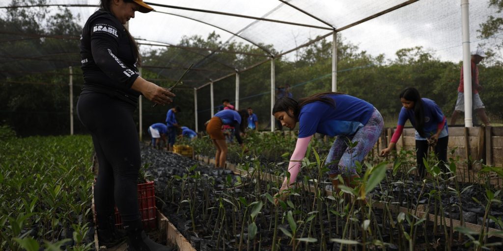 Government closes partnership to expand renewable energy in the Amazon