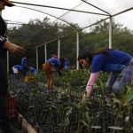 Government closes partnership to expand renewable energy in the Amazon