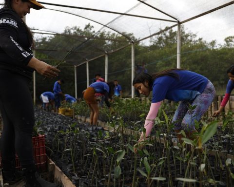 Government closes partnership to expand renewable energy in the Amazon