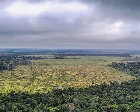 Government defends maintenance of vetoes on the environmental licensing law