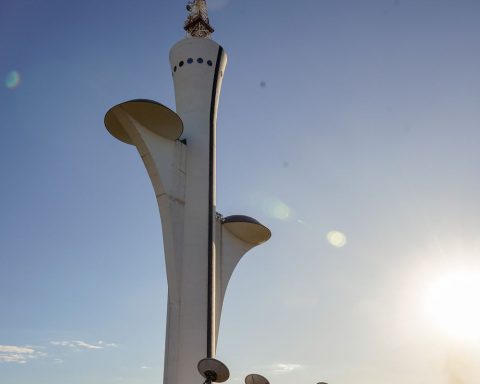 Government will hold auction to buy digital transmission equipment