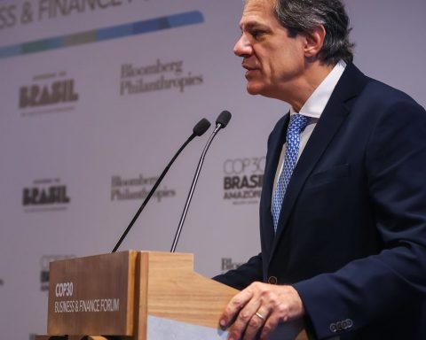 Haddad says he expects US$10 billion for the forest protection fund