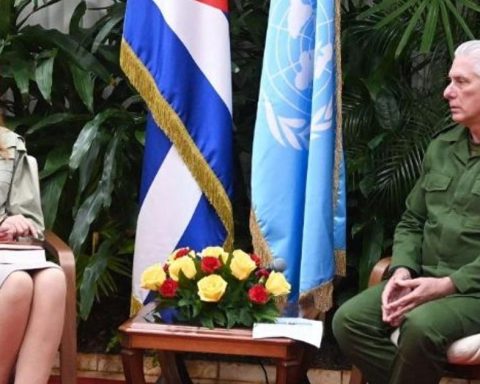 Harsh criticism of the UN rapporteur's report for repeating the slogans of the Cuban regime