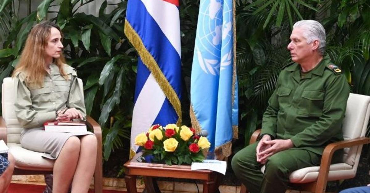 Harsh criticism of the UN rapporteur's report for repeating the slogans of the Cuban regime