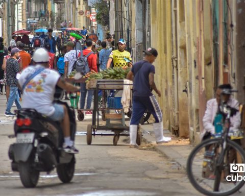 Havana leases 16 retail and gastronomy premises in several municipalities