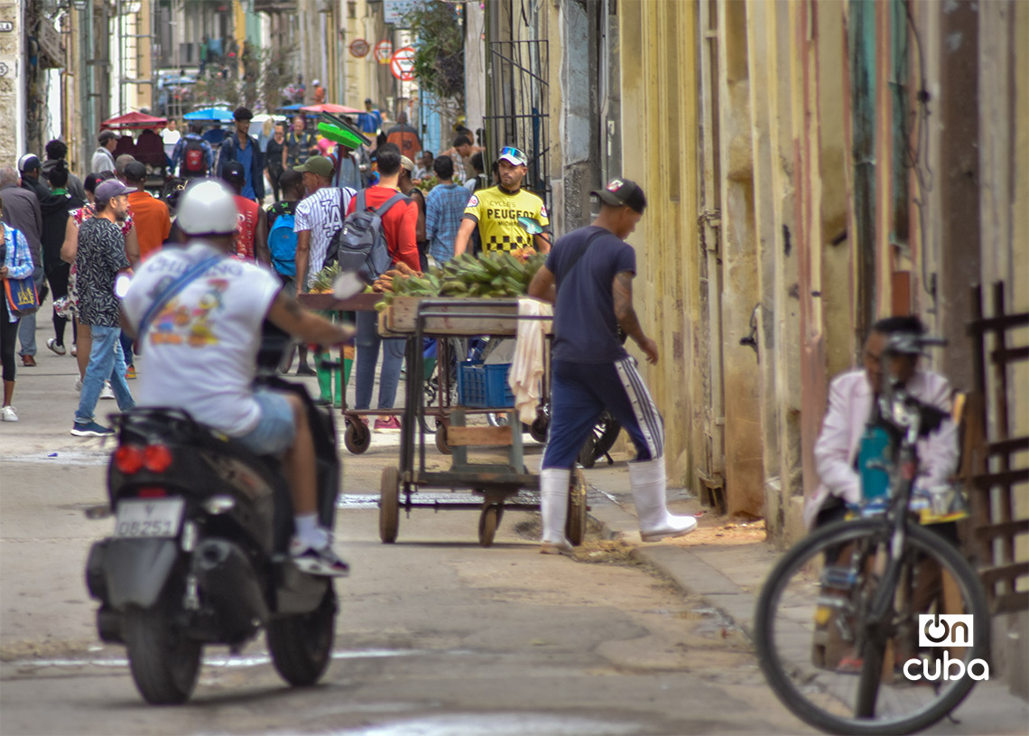 Havana leases 16 retail and gastronomy premises in several municipalities