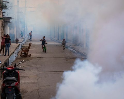 Health crisis in Cuba: 19 children in critical condition and more than 47 thousand people admitted for dengue and chikungunya